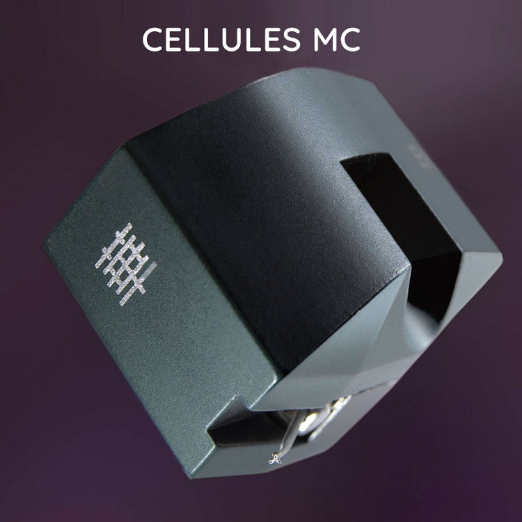Cellules MC