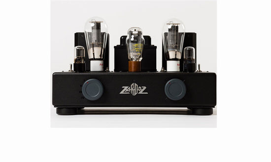 LA ROSITA AMPLI INTÉGRÉ À TUBES / ZARDOZ 300 B BIRD