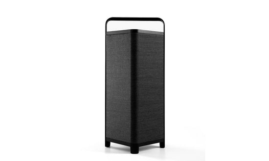 ENCEINTE D&