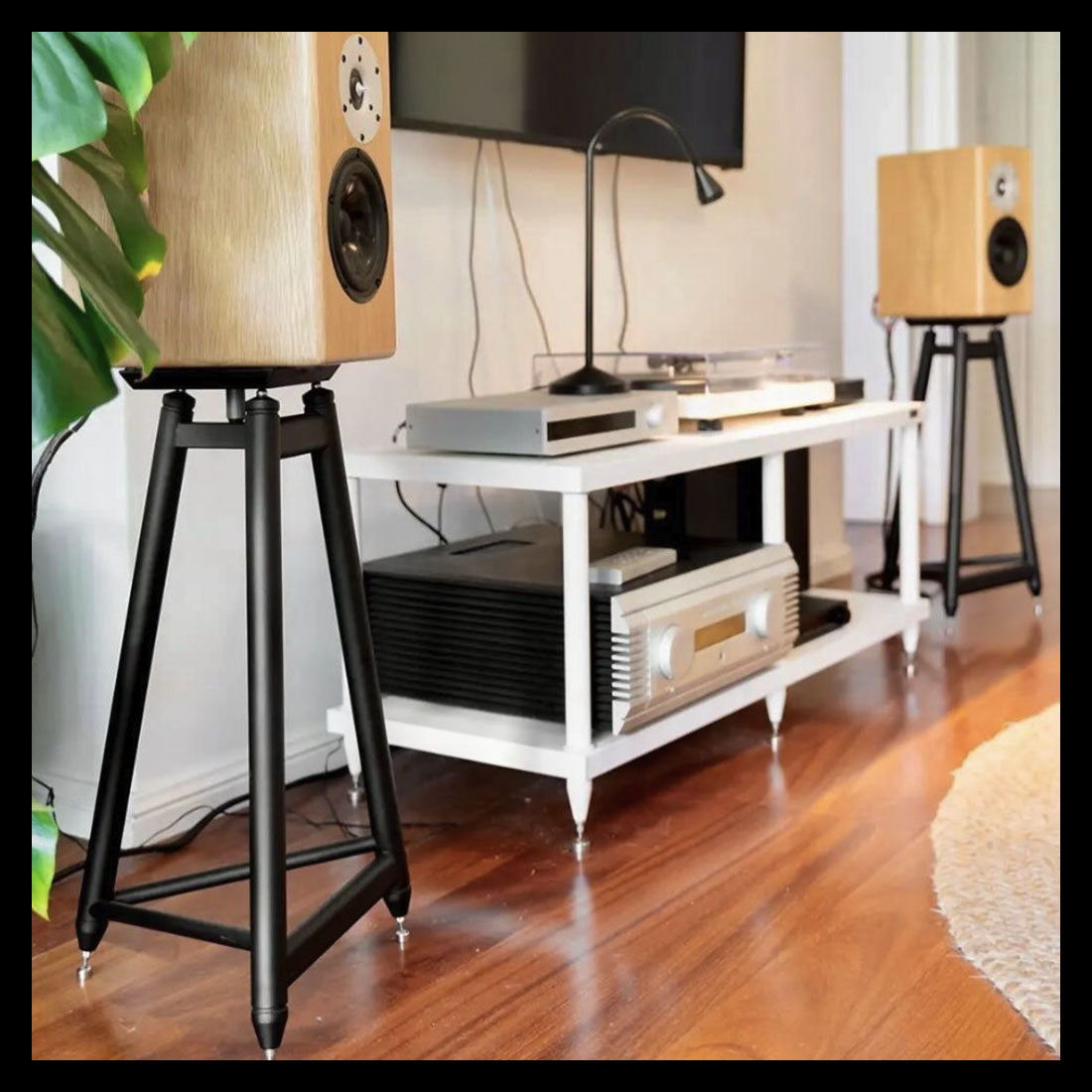 [Image: lamaisondelahifi-serie-ss-13.jpg?v=17220...width=1100]